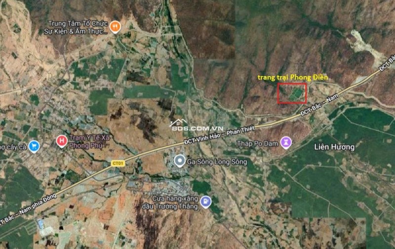 CHÍNH CHỦ CẦN TIỀN HẠ GIÁ BÁN TRANG TRẠI 17.7 Ha TẠI XÃ PHÚ LẠC, TUY PHONG, BÌNH THUẬN (Cũ)